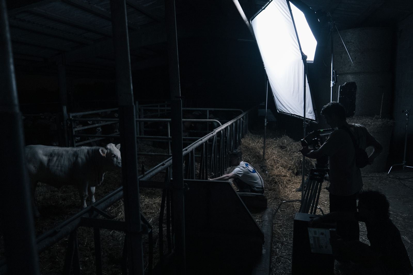 MU — fotografía 11
